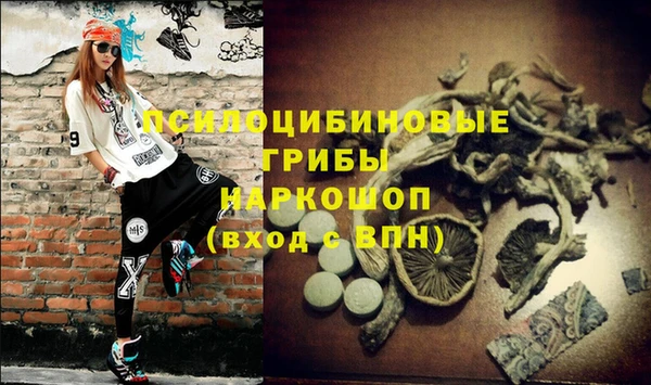 спиды Алзамай