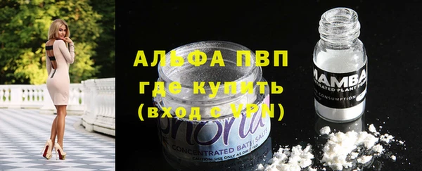 СК Алексеевка